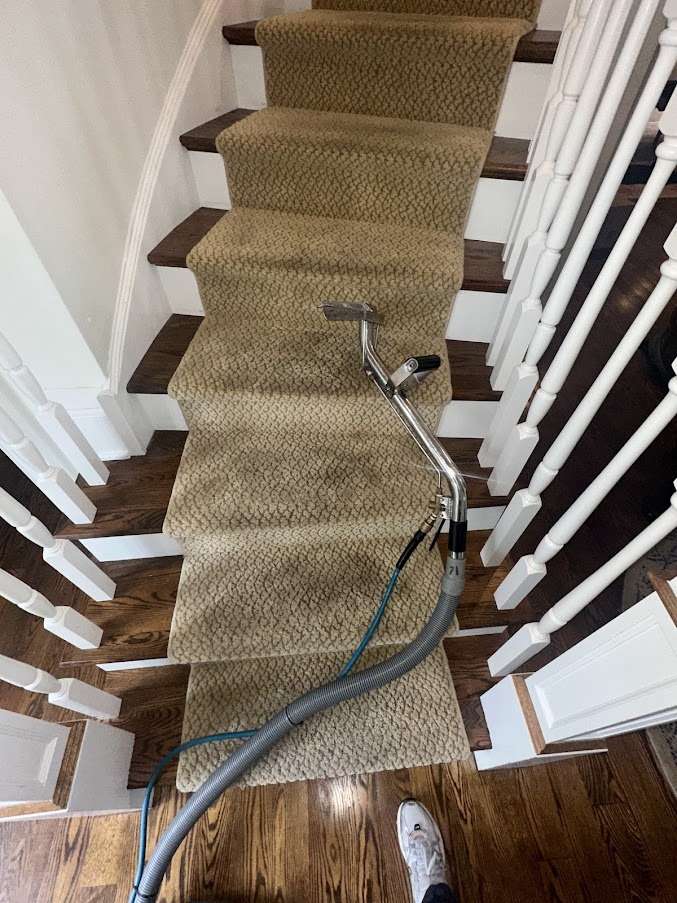 A carpet-cleaning wand and hose rest on the beige carpeted stairs of a house, highlighting a recent Carpet Cleaning session. The stairs are bordered by white wooden railings and dark wooden steps, with part of a white sneaker visible on the floor below.